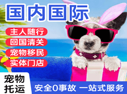 三亚机场空运国际宠物托运 【国